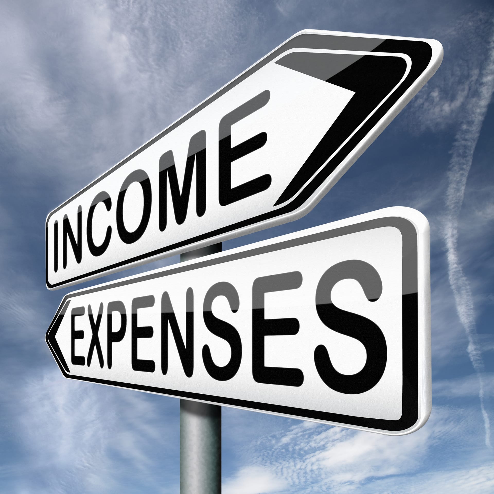 Singapore corporate income and expenses ledger schedules